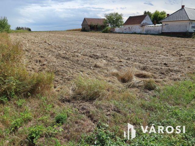 Vasalja, 2 db építési telek eladó (egybe is)1570m2+1598m2