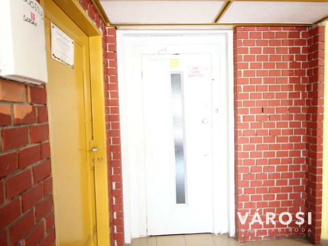 Szegeden a Vértónál, madárcsicsergős panel ajánalat.